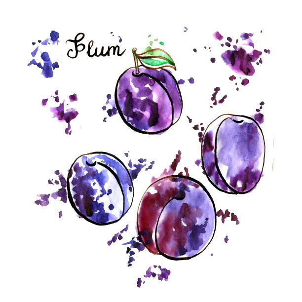 手绘李子图片下载