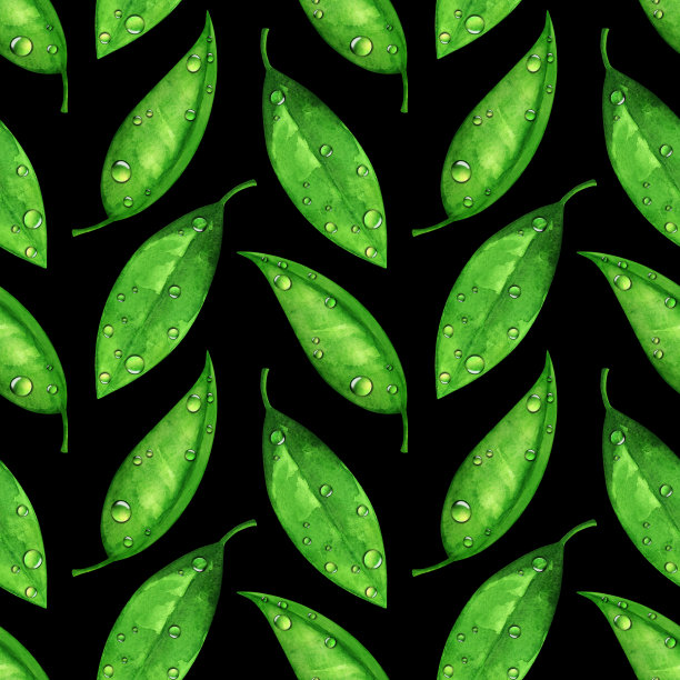 水彩无缝图案，绿叶带有水滴、露珠图片下载