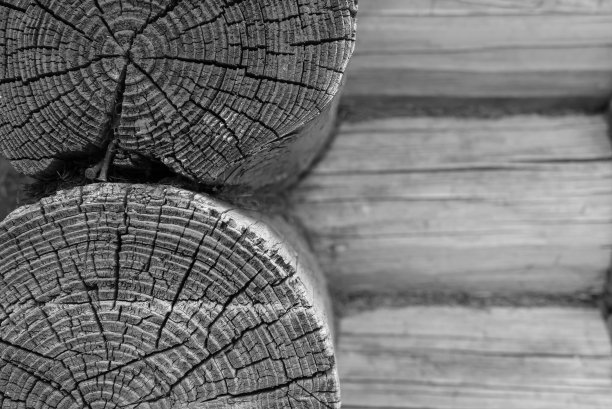 旧木墙的一部分特写是灰色的图片下载