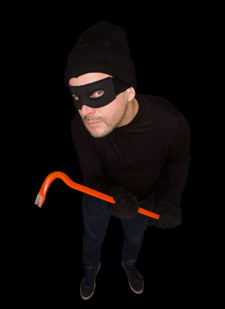 蒙面贼图片下载