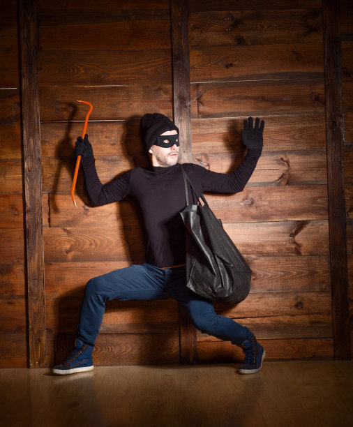 蒙面贼图片下载