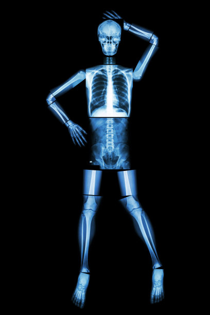 性感的骨架图片下载