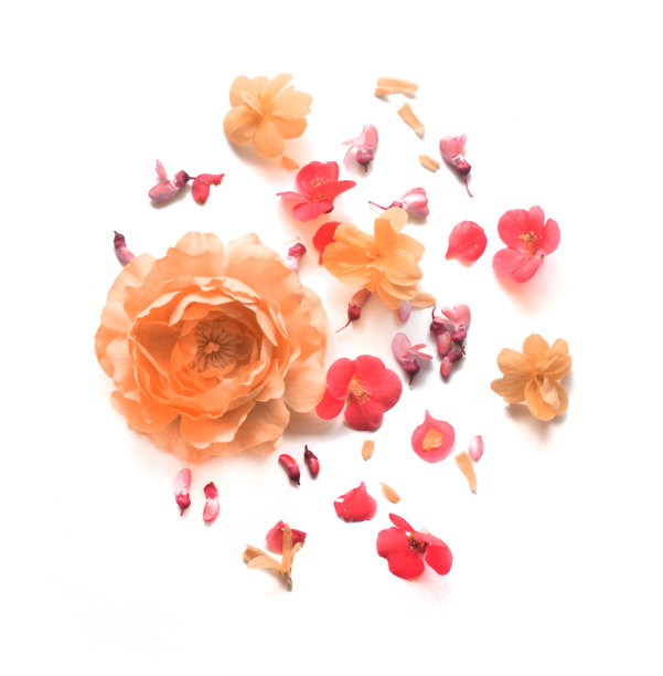 弗洛尔特别图片下载