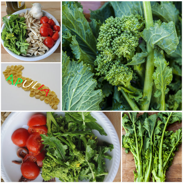 拼贴的意大利菜。大头菜“cime di rapa”图片下载
