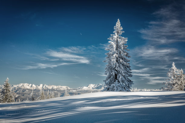 韦纳赫茨鲍姆图片下载