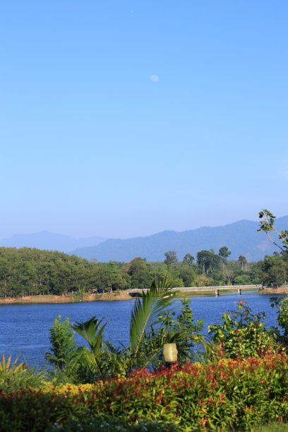 河流和森林图片下载