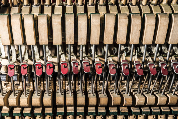 在一架钢琴里面，木制部件，机械装置特写图片下载