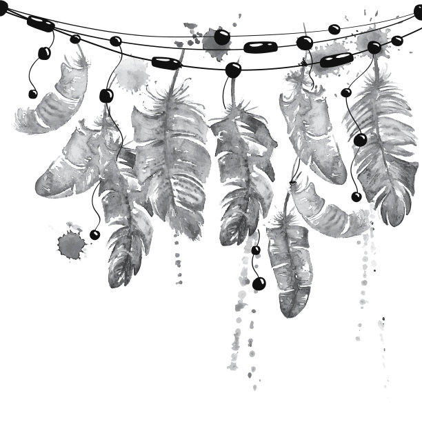 水彩画挂鸟羽毛。图片下载