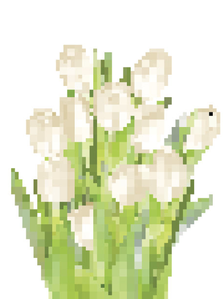 郁金香装饰背景。每股收益10图片下载