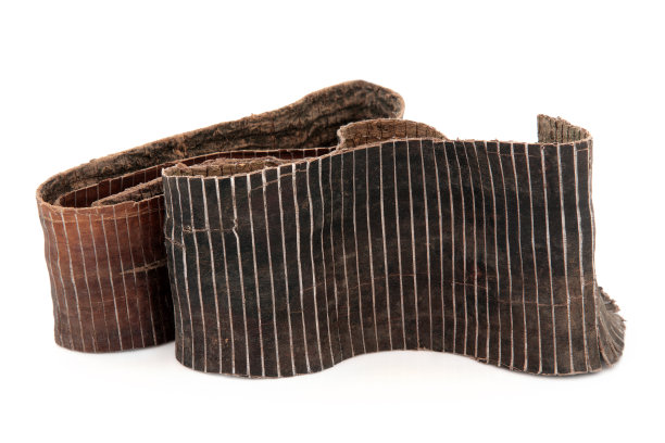 耐寒橡胶树皮图片下载