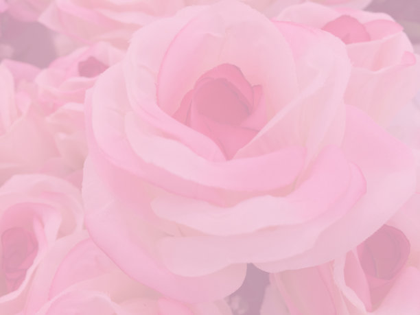 一束模糊风格的粉色玫瑰图片下载