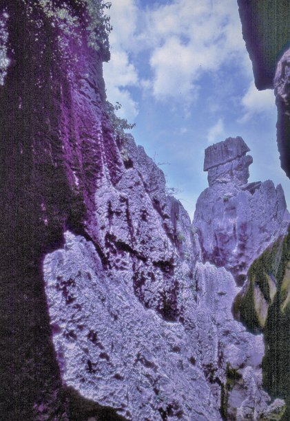 石林,石林图片下载