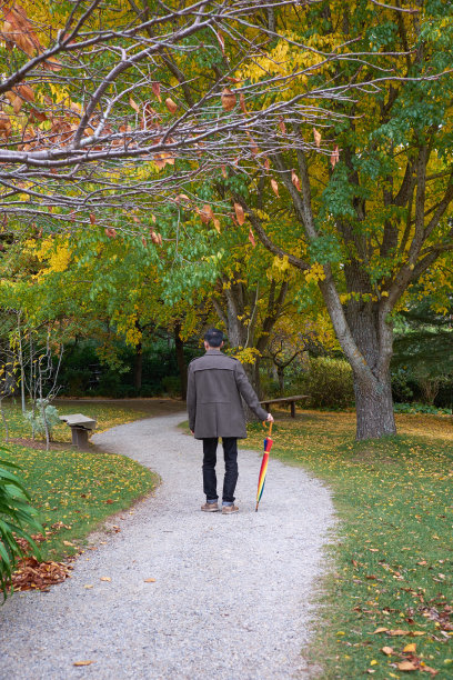 秋天里在公园里散步的人图片下载