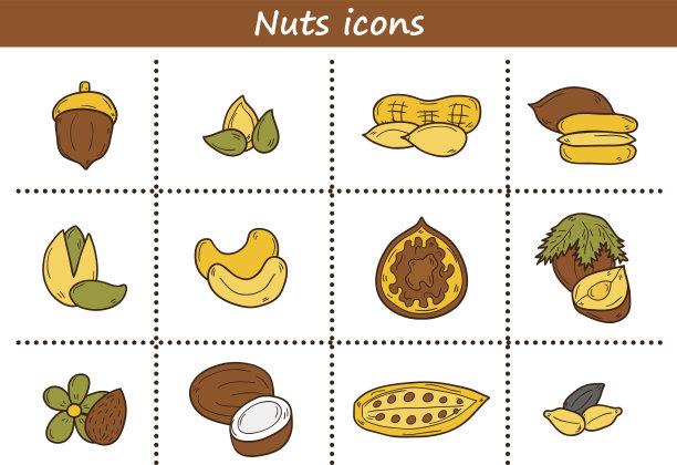 一套卡通手绘物体上的坚果主题:榛子图片下载