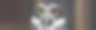 戴眼镜的猫头鹰特写图片下载
