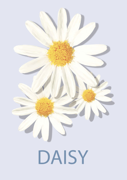 雏菊花矢量多边形素材图片