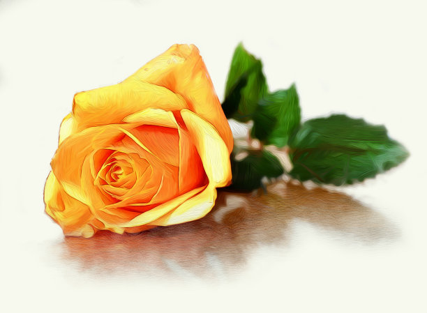 黄玫瑰。油画风格的插图图片下载