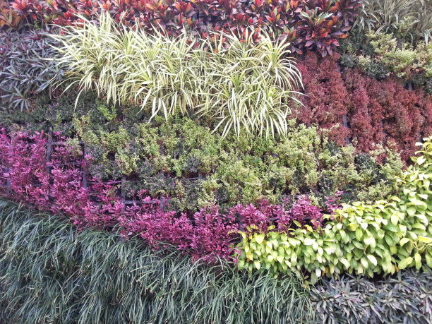 垂直园墙肌理图片下载