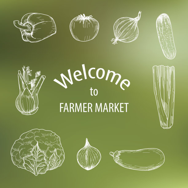 有机食品概念手册和宣传单模板。图片下载