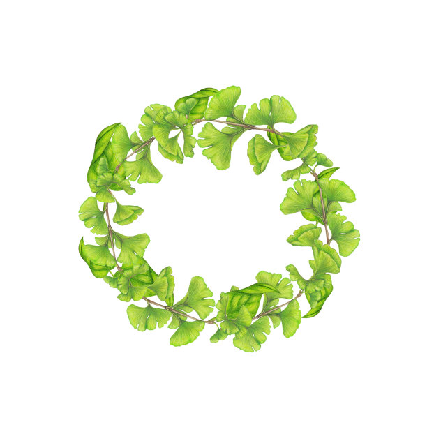 绿色框图片下载