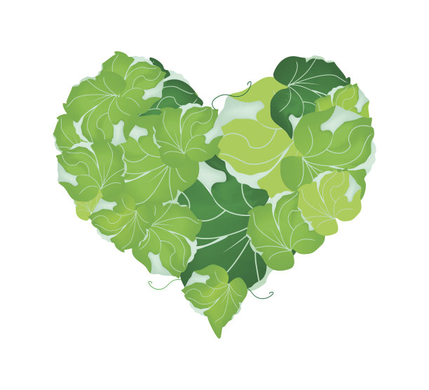 新鲜的多叶松叶呈心形图片下载