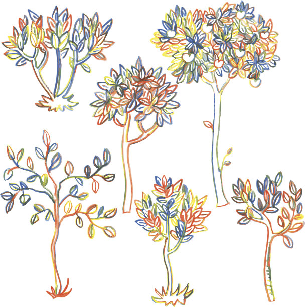 一组不同的落叶树图片下载