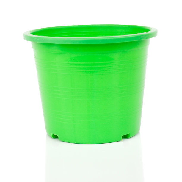 树可以图片下载