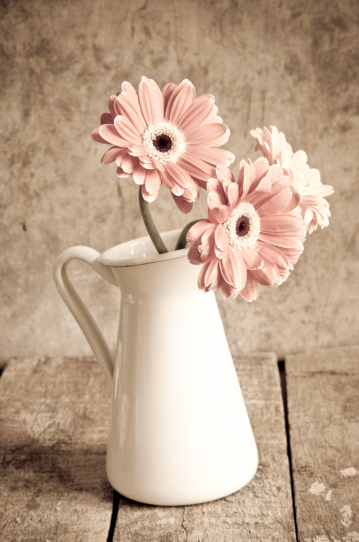 花瓶里的非洲菊图片下载