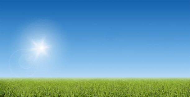 绿色的田野和蓝色的天空图片下载