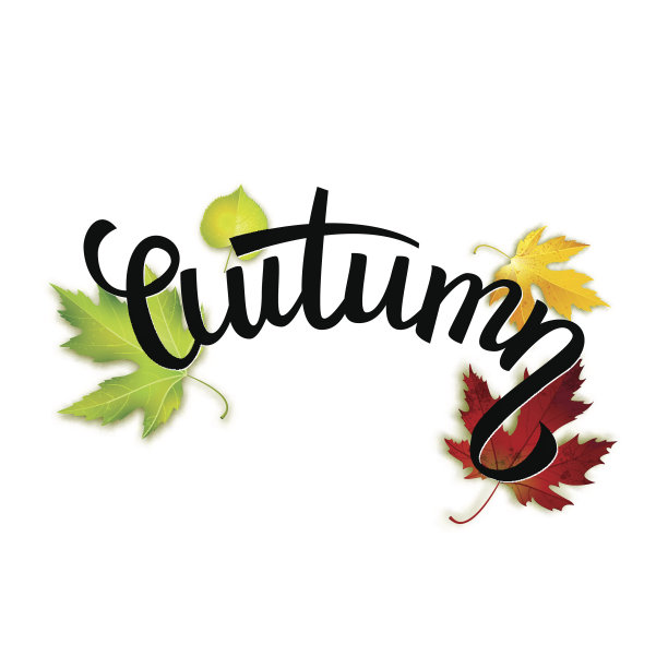 秋天手写文字，五颜六色的叶子和字母，矢量插图图片下载