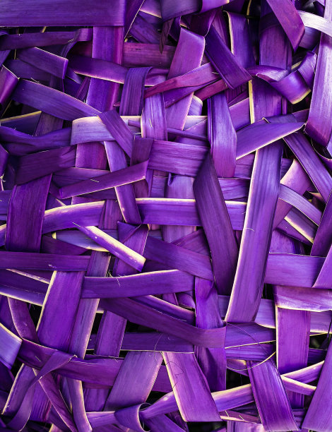 紫色的叶子图片下载