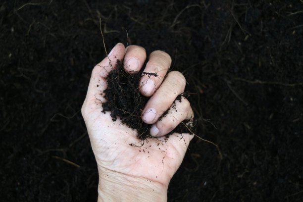 手握着黑土图片下载