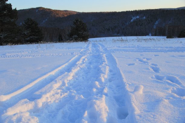 雪地里的脚印图片下载