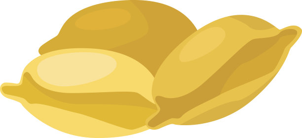 意大利面食是意大利饺子的载体图片下载