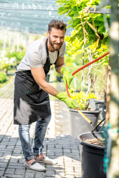 帅气园丁浇水树图片下载