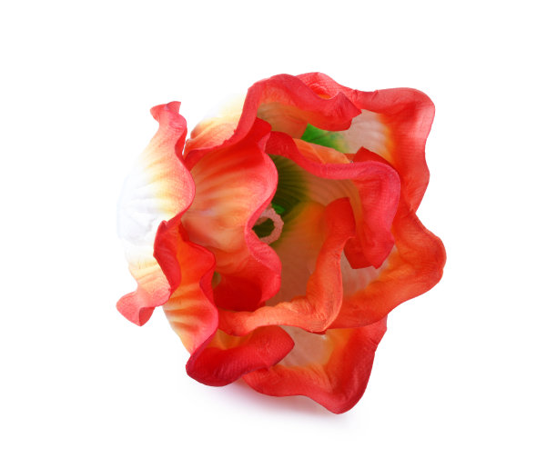 人工芙蓉花图片下载