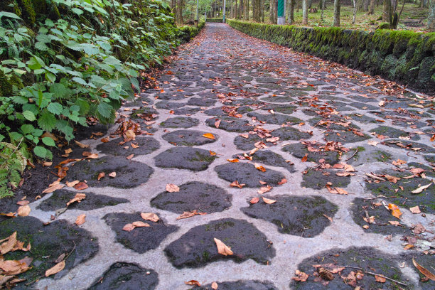 鹅卵石路图片下载