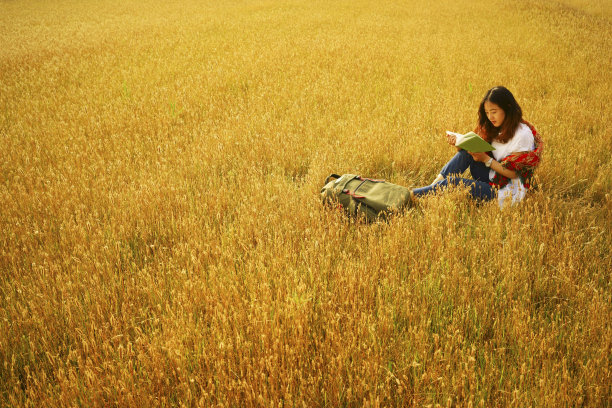 年轻女子在秋天的田野和触摸草图片下载
