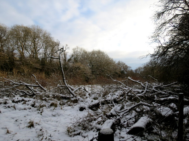 冬天的风景图片下载