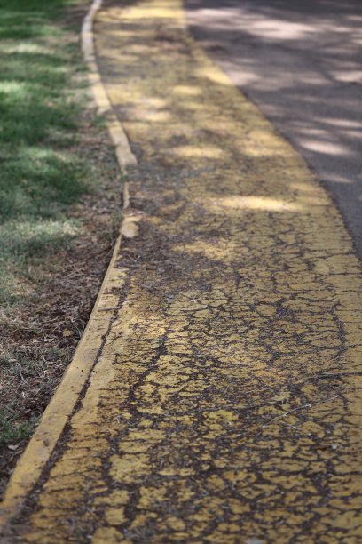 公园里的自行车道图片下载