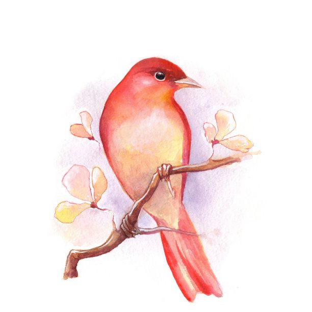 鸟在3号树枝上。水彩插图图片下载