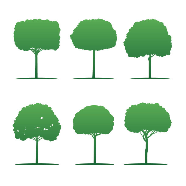 一组绿树。图片下载