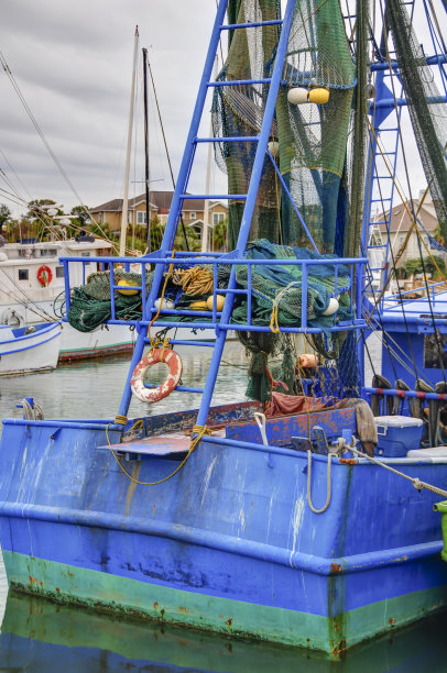 闪溪的老蓝图片下载