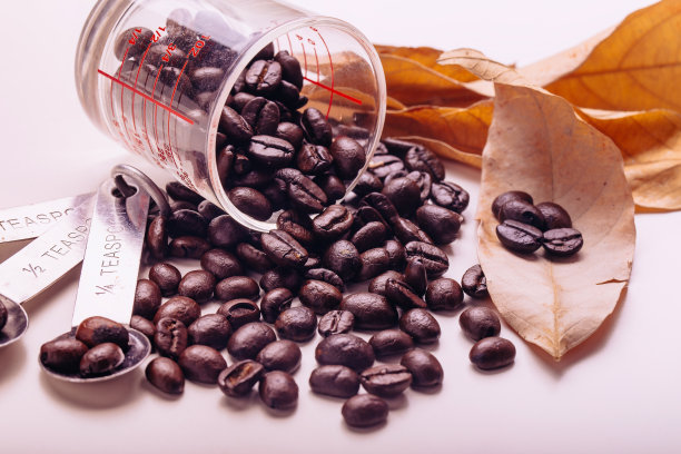 白色背景上的咖啡豆图片下载