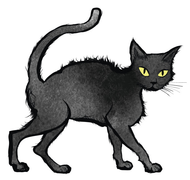 黑猫边走边看镜头图片下载