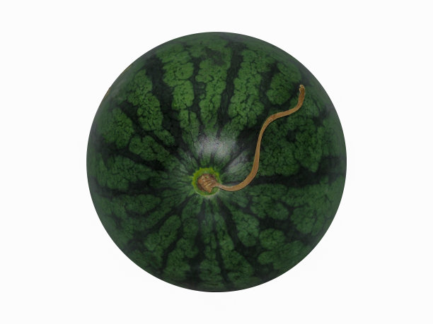 西瓜。图片下载