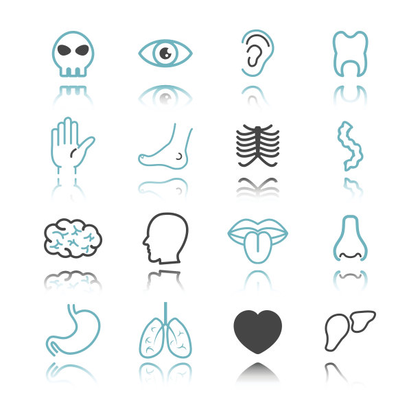 带有反射的器官图标图片下载