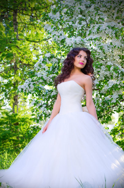 盛开的苹果树上的新娘图片下载