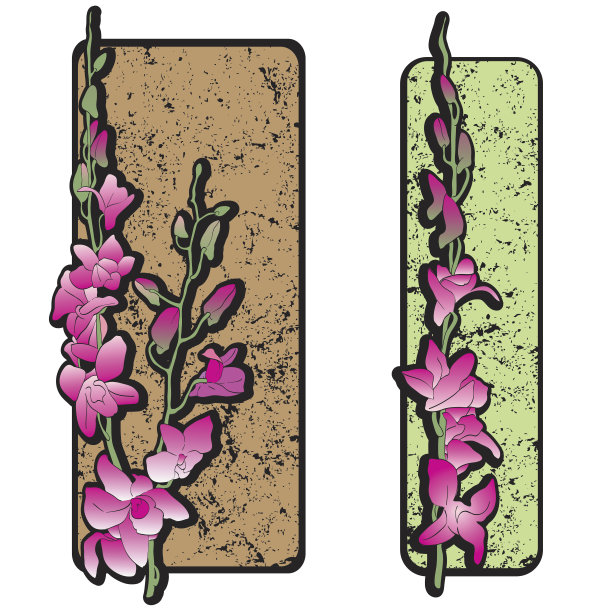 两朵长长的兰花修剪艺术图片下载