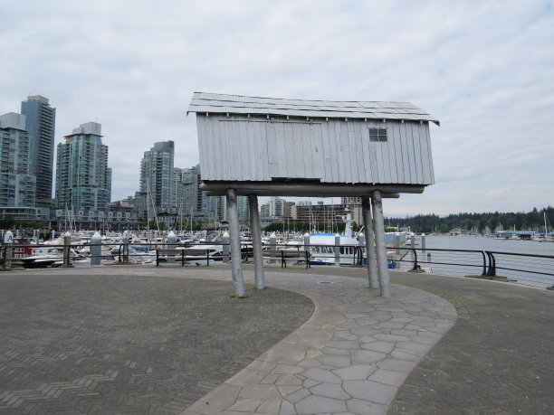 不寻常的流图片下载